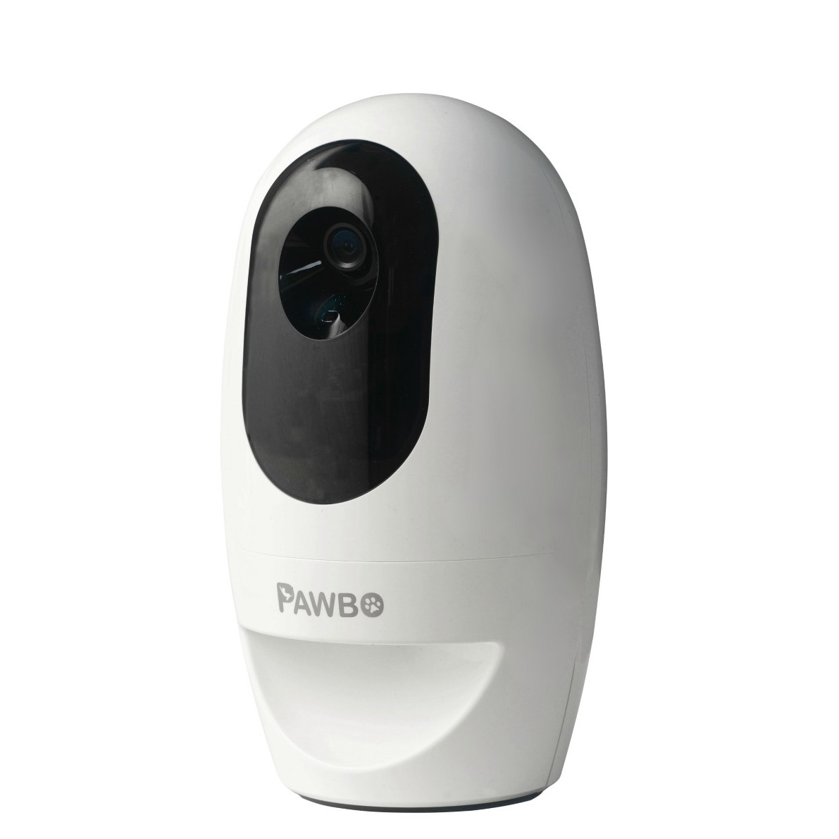 Pawbo Plus caméra interactive connectée pour animaux de compagnie