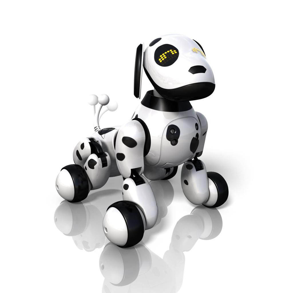 zoomer le robot